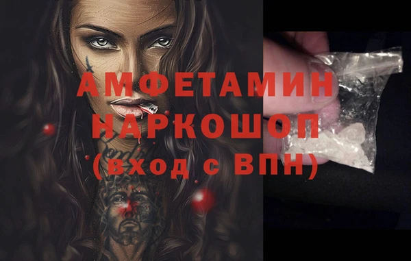 шишки Арсеньев