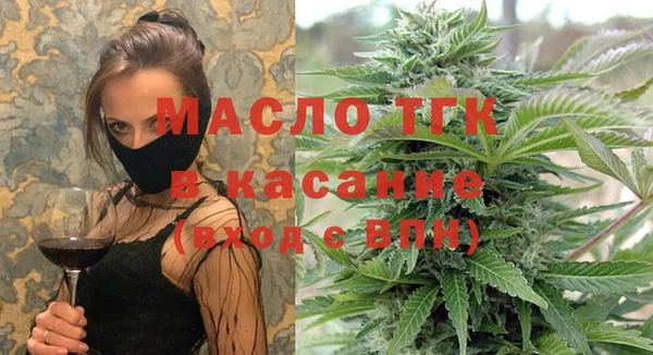 шишки Арсеньев
