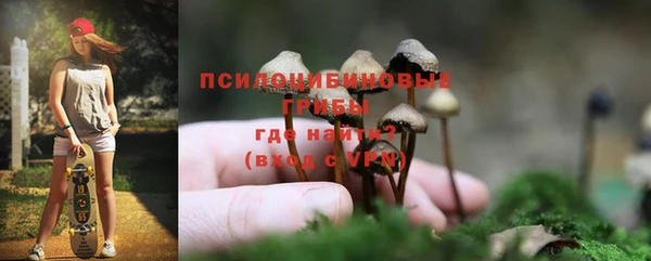 шишки Арсеньев