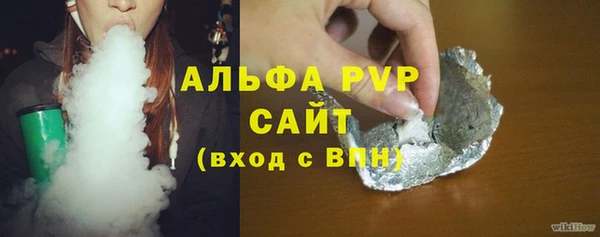шишки Арсеньев
