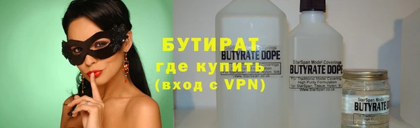 шишки Арсеньев