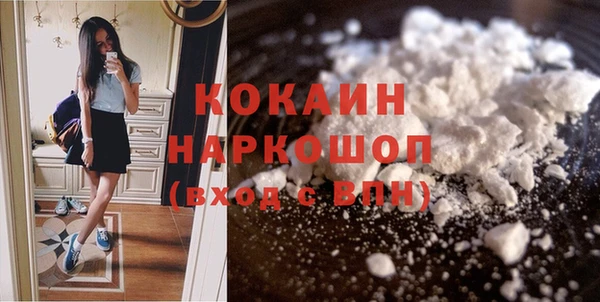 шишки Арсеньев