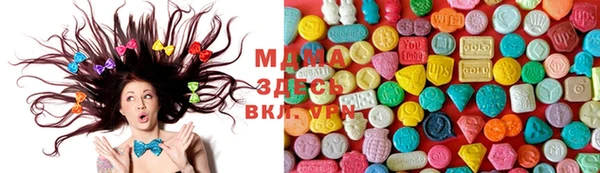 шишки Арсеньев